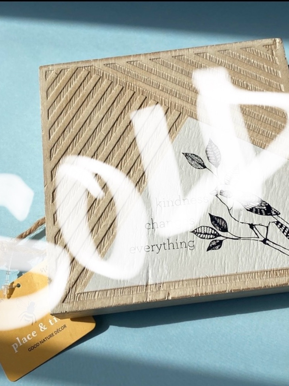 🐦‍⬛Little Frame Decor🪽